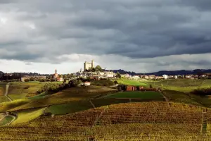 IMG_0284_original_copy_2