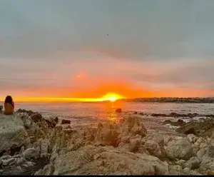 a9a99ea9-d90a-4e75-bfd5-2cfa54bdc614_original