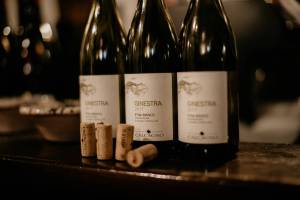 mount-etna-wine-tasting---what-you-need-to-know-before-you-go-12_original