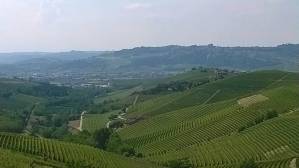 visiting-piedmont-the-rough-guide-04_original